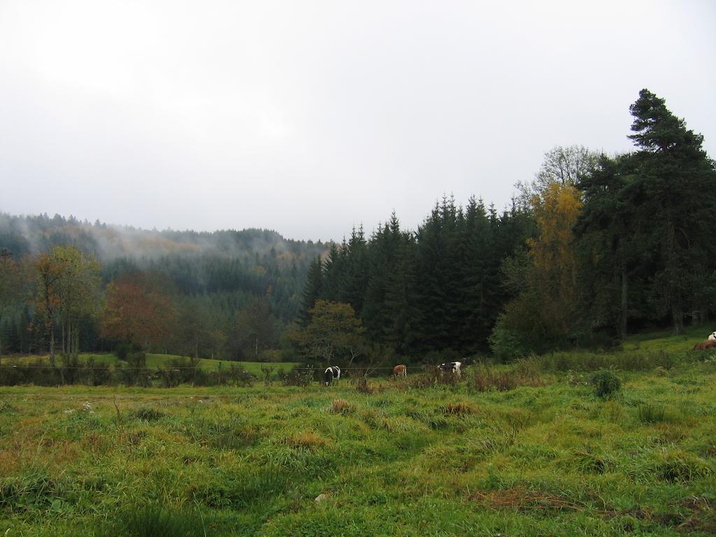La Ferme Des Genets Bed and Breakfast Medeyrolles Esterno foto